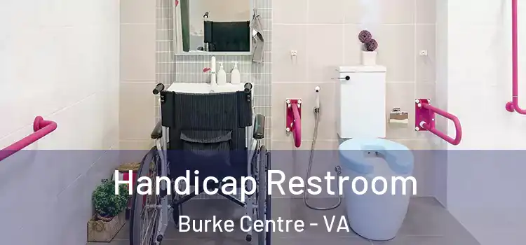  Handicap Restroom Burke Centre - VA