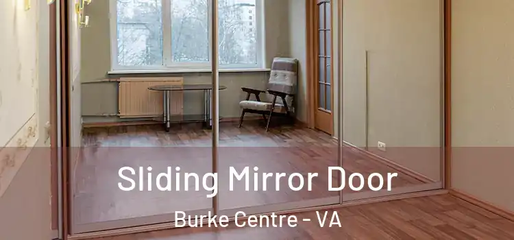  Sliding Mirror Door Burke Centre - VA